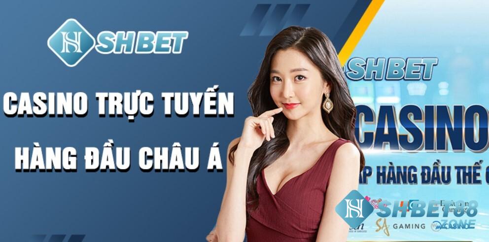 điều khoản và điều kiện shbet