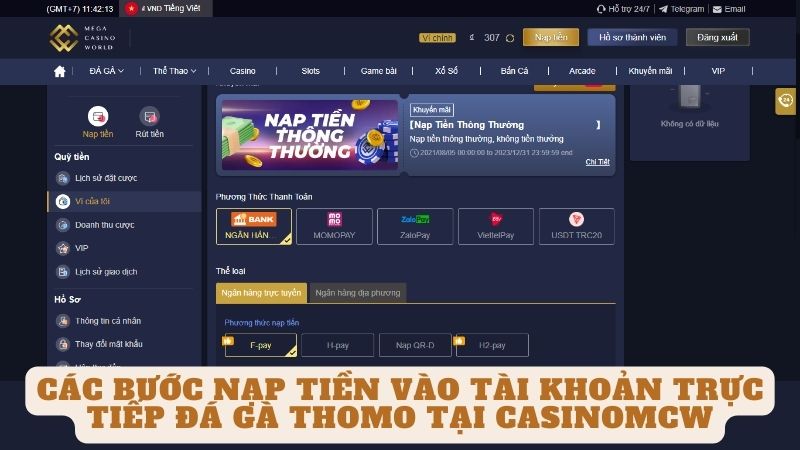 Các bước nạp tiền vào tài khoản trực tiếp đá gà thomo tại casinomcw