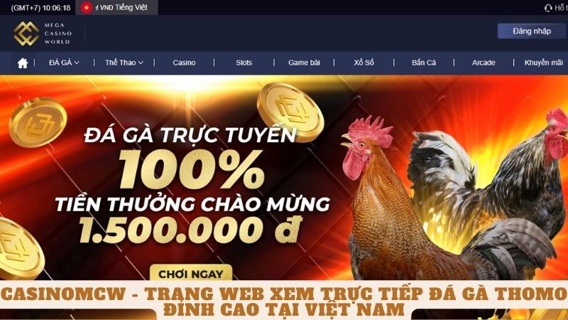 Tổng quan về nhà cái cá cược đá gà trực tuyến casinomcw