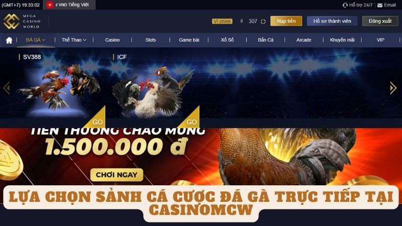 Lựa chọn sảnh cá cược đá gà trực tiếp tại casinomcw