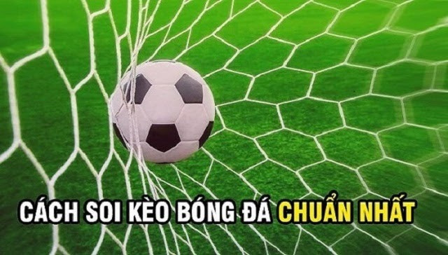 Cách soi kèo bóng đá chuẩn nhất mà bạn nên biết 